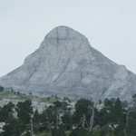 Plantes des Pyrénées atlantiques