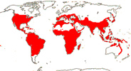 Carte de repartition des Anacardiaceae