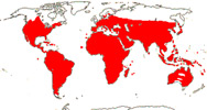 Carte de repartition des Asclepiadaceae