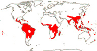 Carte de repartition des Balanophoraceae