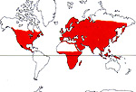 Carte de repartition des Balsaminaceae