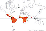 Carte de repartition des Basellaceae