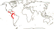 Carte de repartition des Brunelliaceae