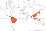 Carte de repartition des Chloranthaceae