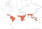 Carte de repartition des Combretaceae