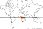 Carte de repartition des Cyanastraceae