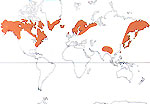 Carte de repartition des Diapensiaceae