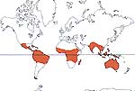 Carte de repartition des Dilleniaceae