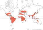 Carte de repartition des Dioscoreaceae