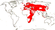 Carte de repartition des Dipsacaceae