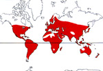 Carte de repartition des Euphorbiaceae