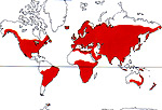 Carte de repartition des Geraniaceae