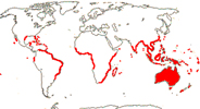 Carte de repartition des Goodeniaceae