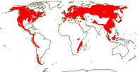 Carte de repartition des Grossulariaceae