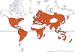 Carte de repartition des Hypericaceae