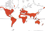 Carte de repartition des Iridaceae