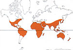 Carte de repartition des Lauraceae