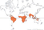 Carte de repartition des Lecythidaceae