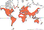 Carte de repartition des Lemnaceae