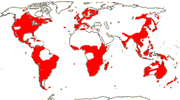 Carte de repartition des Lobeliaceae