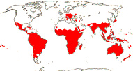 Carte de repartition des Loranthaceae