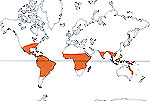 Carte de repartition des Marantaceae