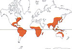 Carte de repartition des Menispermaceae