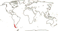 Carte de repartition des Misodendraceae