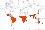 Carte de repartition des Myrsinaceae