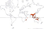 Carte de repartition des Nepenthaceae