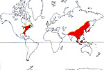 Carte de repartition des Nyssaceae