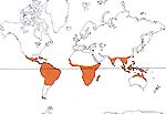 Carte de repartition des Ochnaceae