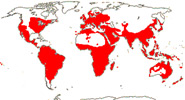 Carte de repartition des Oleaceae