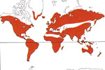 Carte de repartition des Orchidaceae