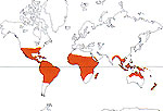 Carte de repartition des Passifloraceae