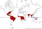 Carte de repartition des Podostemaceae