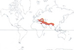 Carte de repartition des Punicaceae