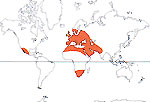 Carte de repartition des Resedaceae