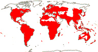 Carte de repartition des Rhamnaceae