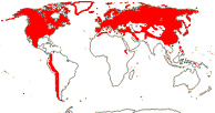 Carte de repartition des Saxifragaceae