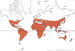 Carte de repartition des Smilacaceae