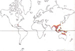 Carte de repartition des Stemonaceae