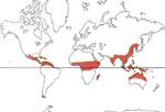 Carte de repartition des Taccaceae