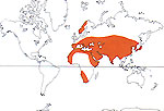 Carte de repartition des Tamaricaceae