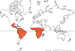 Carte de repartition des Turneraceae