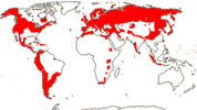 Carte de repartition des Valerianaceae