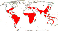 Carte de repartition des Vitaceae