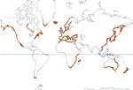 Carte de repartition des Zosteraceae